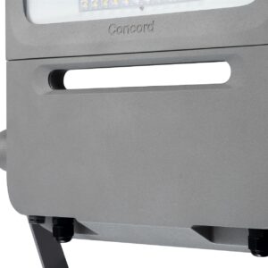 Sylvania Concord - Raiden Aqua 90W Flutlicht für Nass- und Swimmingpool-Bereiche